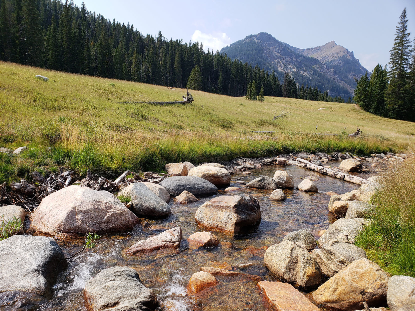 Soda Butte Creek